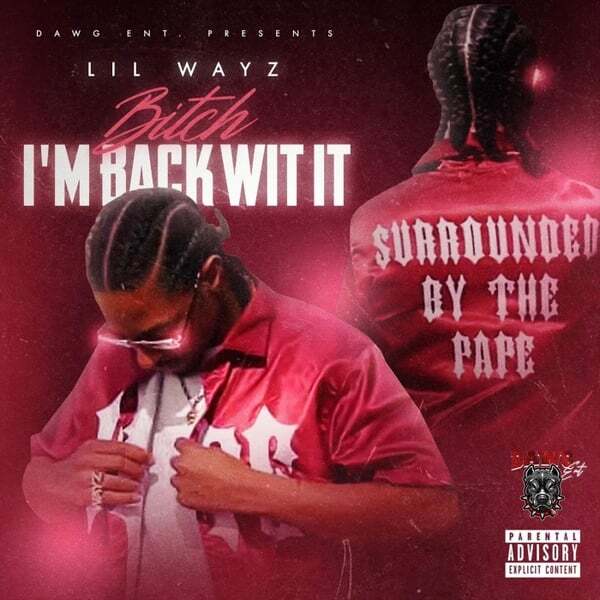 Cover art for Bitch I’m Back Wit It